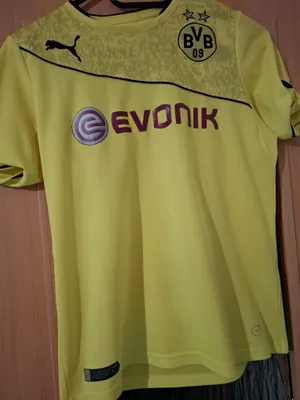 Collection Borussia Dortmund 2013-14 XMAS