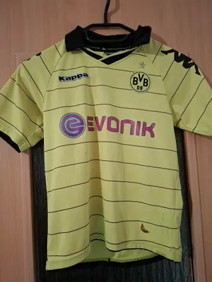 Collection Borussia Dortmund 2010-11 Home