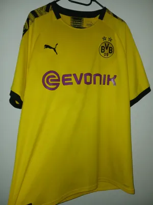 Collection Borussia Dortmund Home 2019-20