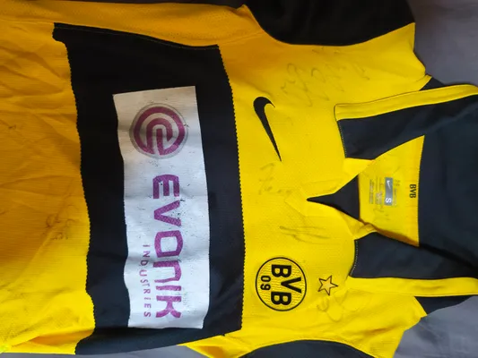 Collection BVB 2007/2008 Autogramm 