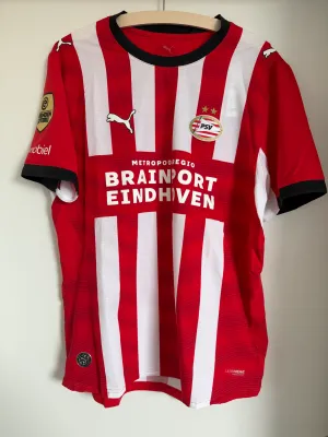 Collection PSV - Perisic