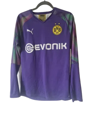 Collection BVB Torwarttrikot 2019-20