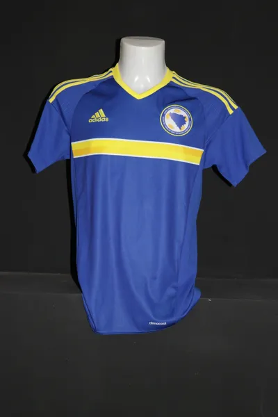 Bosnia and Herzegovina 2016 Home