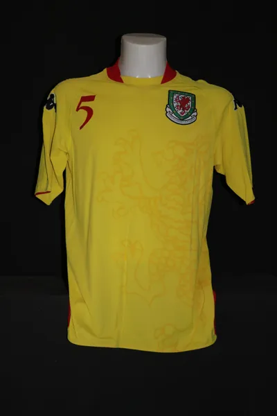 Wales Away 2008