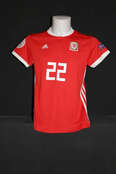 Wales Home 2019